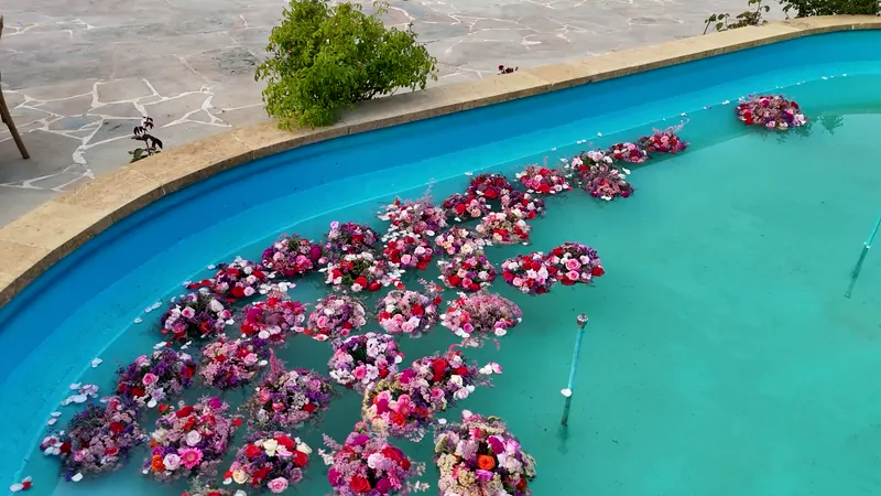 Roses floating on the pool